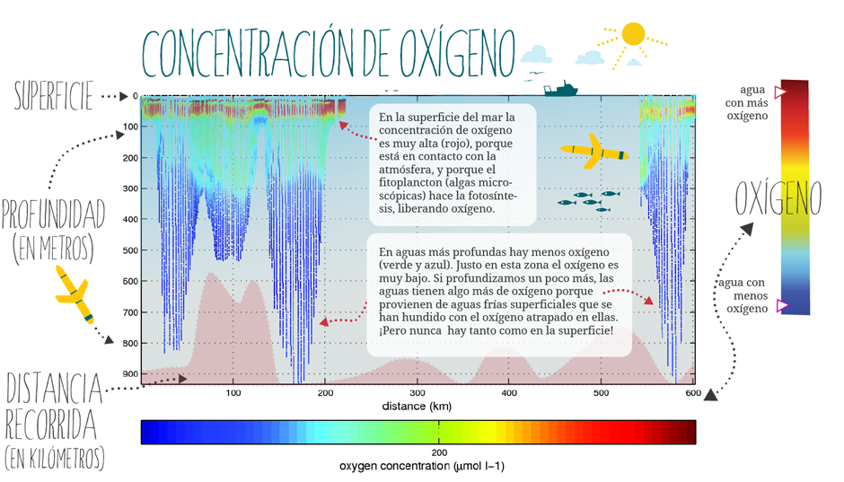 Gráfico Glider Concentración de Oxígeno